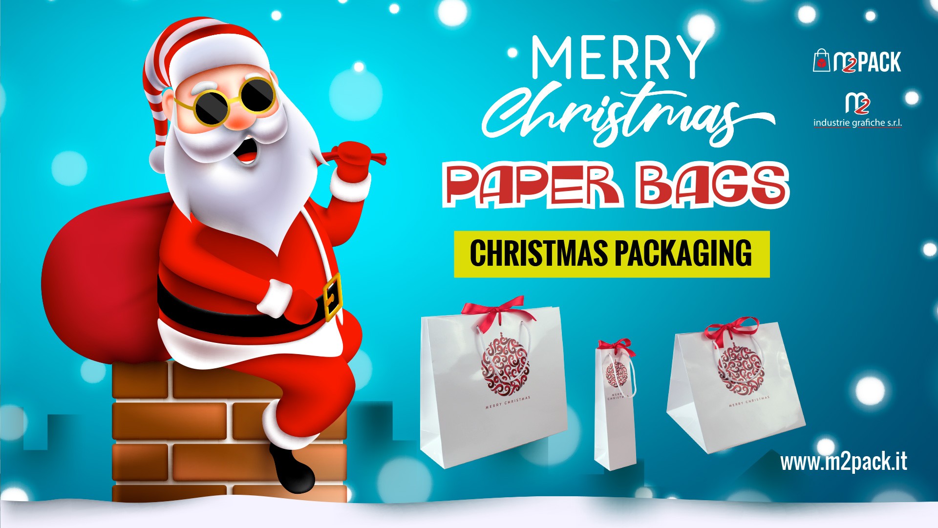MERRY CHRISTMAS PAPER BAGS